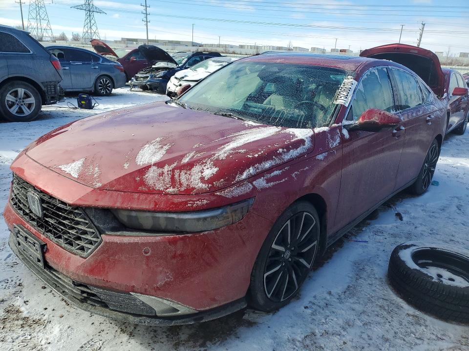 2025 HONDA ACCORD — VIN 1HGCY2F81SA012705