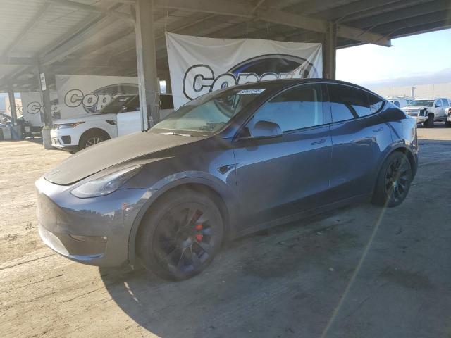2023 TESLA MODEL Y — VIN 7SAYGDEF4PF813701