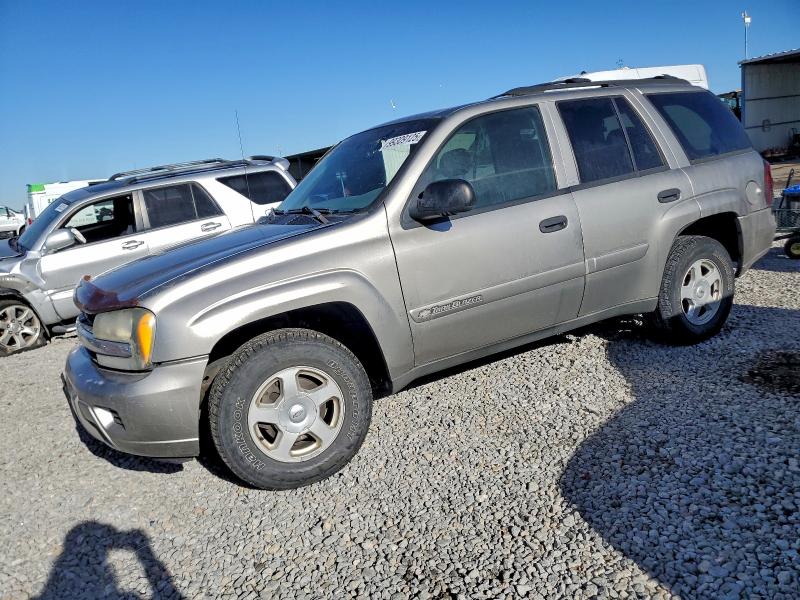 2002 CHEVROLET TRAILBLAZE — VIN 1GNDT13S922504296