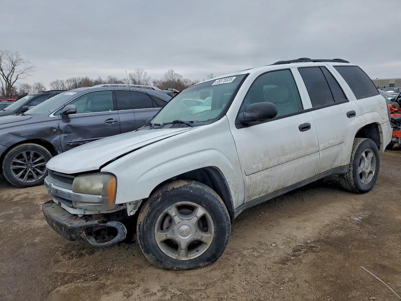 2008 CHEVROLET TRAILBLAZE — VIN 1GNDT13S982214455
