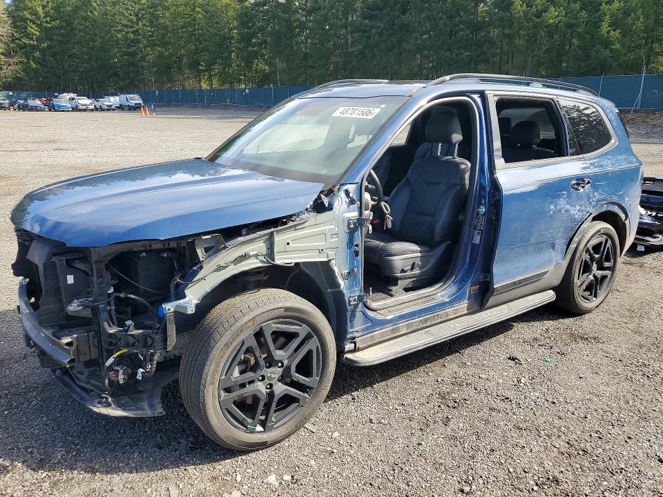 2024 KIA TELLURIDE — VIN 5XYP3DGC7RG493163