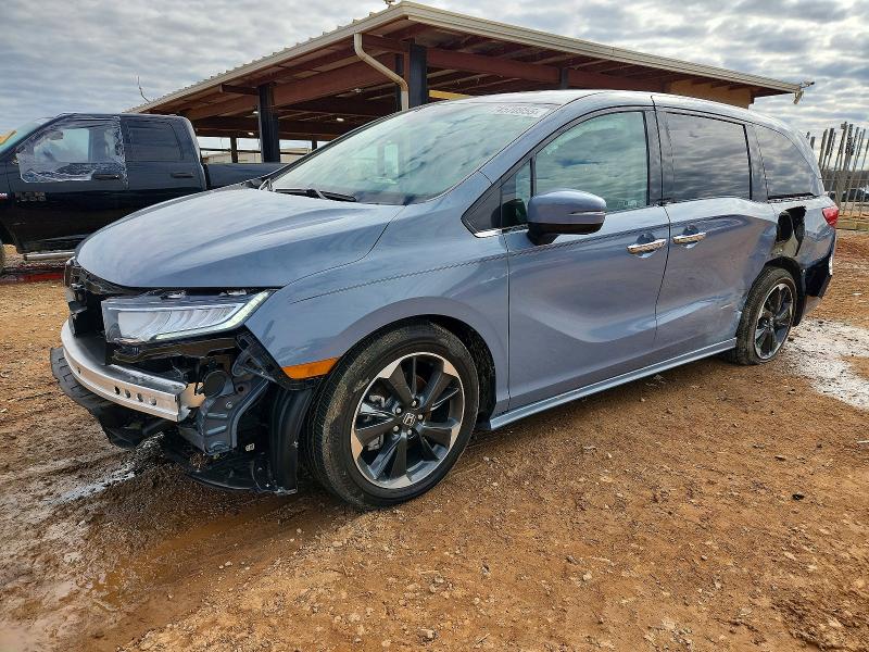 2024 HONDA ODYSSEY — VIN 5FNRL6H96RB054275