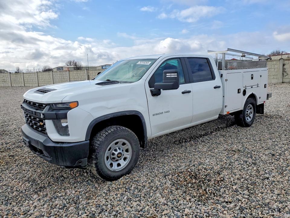 2023 CHEVROLET SILVERADO — VIN 1GC4YLE79PF231391