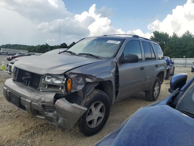 2005 CHEVROLET TRAILBLAZE — VIN 1GNDT13S452379079
