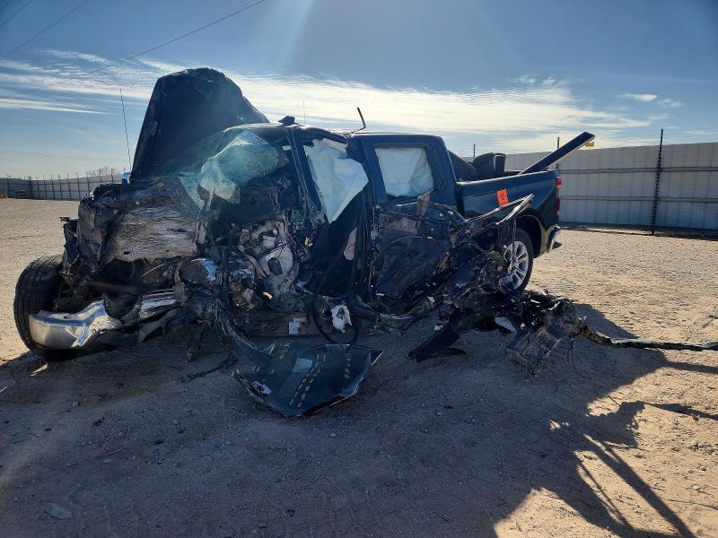 2025 CHEVROLET SILVERADO — VIN 2GCPAEED1S1150095