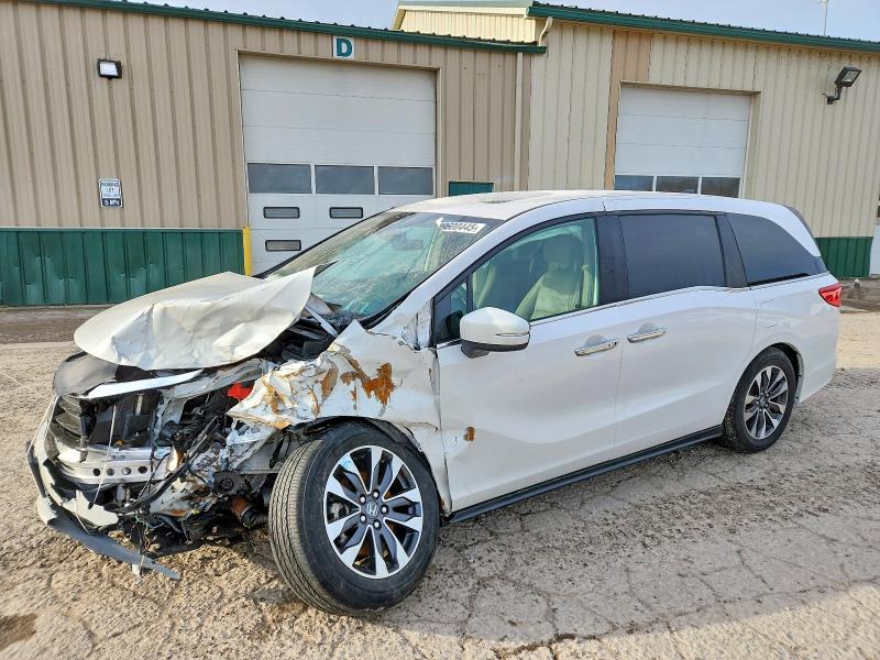 2024 HONDA ODYSSEY — VIN 5FNRL6H66RB073186