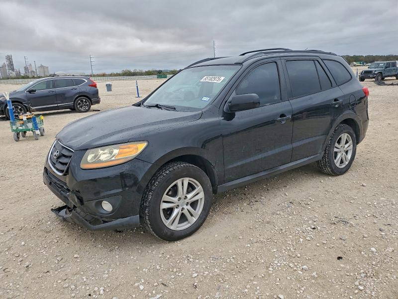 2010 HYUNDAI SANTA FE S — VIN 5NMSH4AGXAH356560