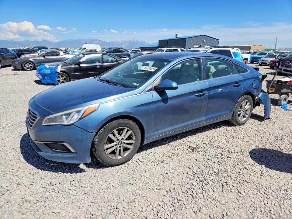 5NPE24AF1HH531149