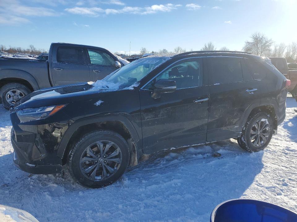 2024 TOYOTA RAV4 — VIN 2T3DWRFV4RW235579