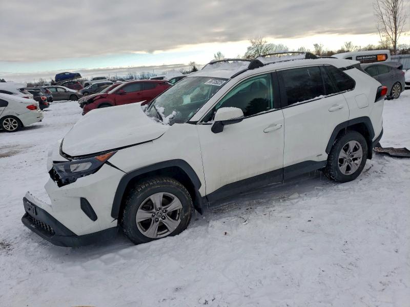 2024 TOYOTA RAV4 — VIN 2T3BWRFVXRW219717