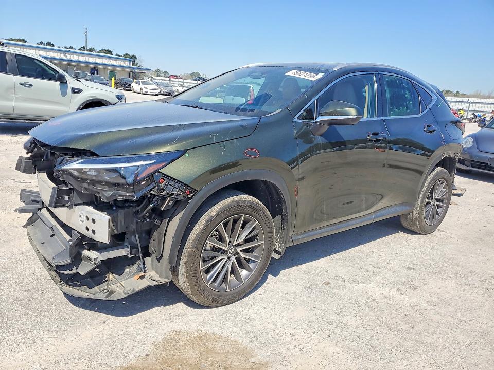 2024 LEXUS NX 250 — VIN 2T2GDCAZ6RC014095