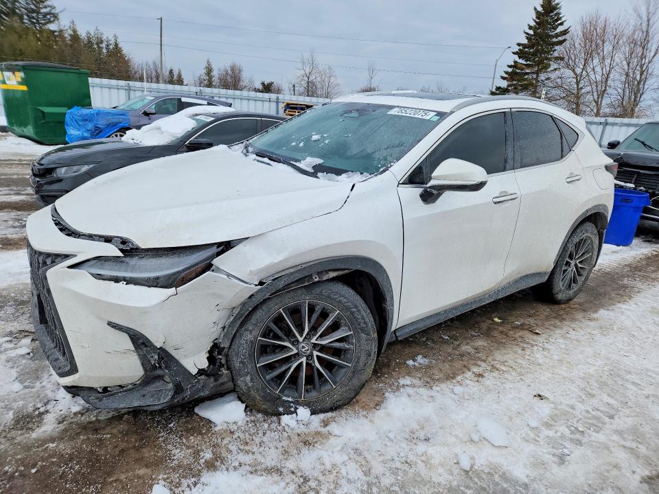 2024 LEXUS NX 350 — VIN 2T2GKCEZXRC025200