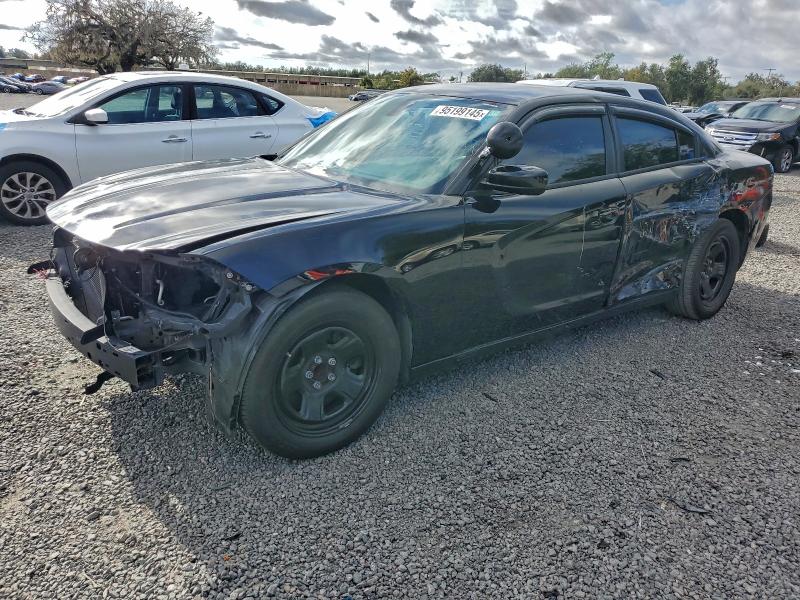 2019 DODGE CHARGER PO — VIN 2C3CDXAT0KH703474