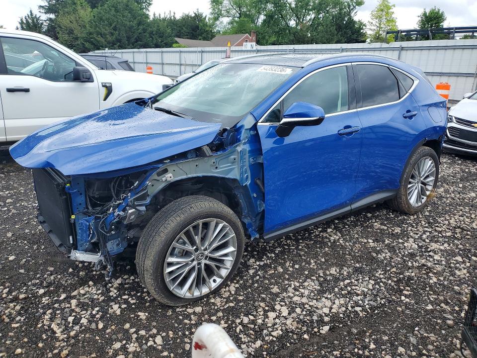 2025 LEXUS NX — VIN 2T2HGCEZ8SC073600