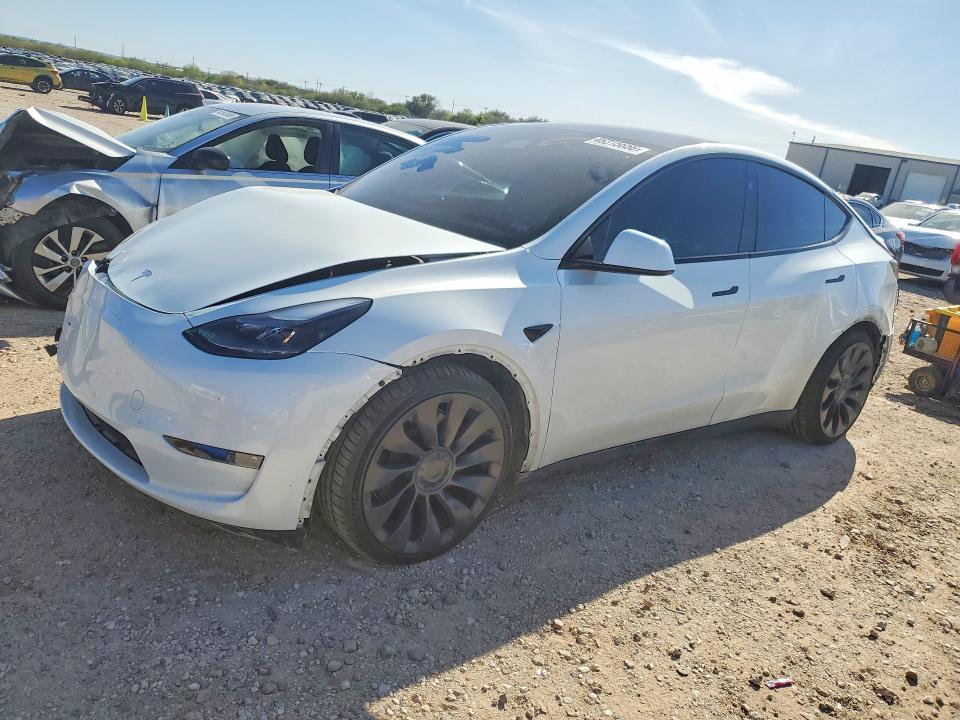 2024 TESLA MODEL Y — VIN 7SAYGDEF3RF027908