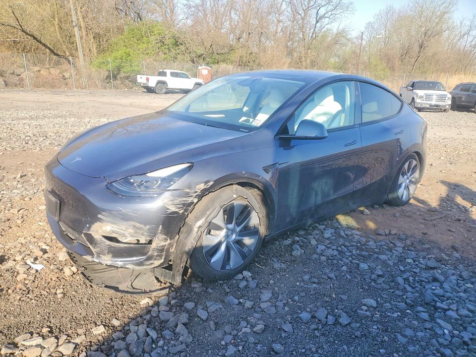 2024 TESLA MODEL Y — VIN 7SAYGDEE4RA215731