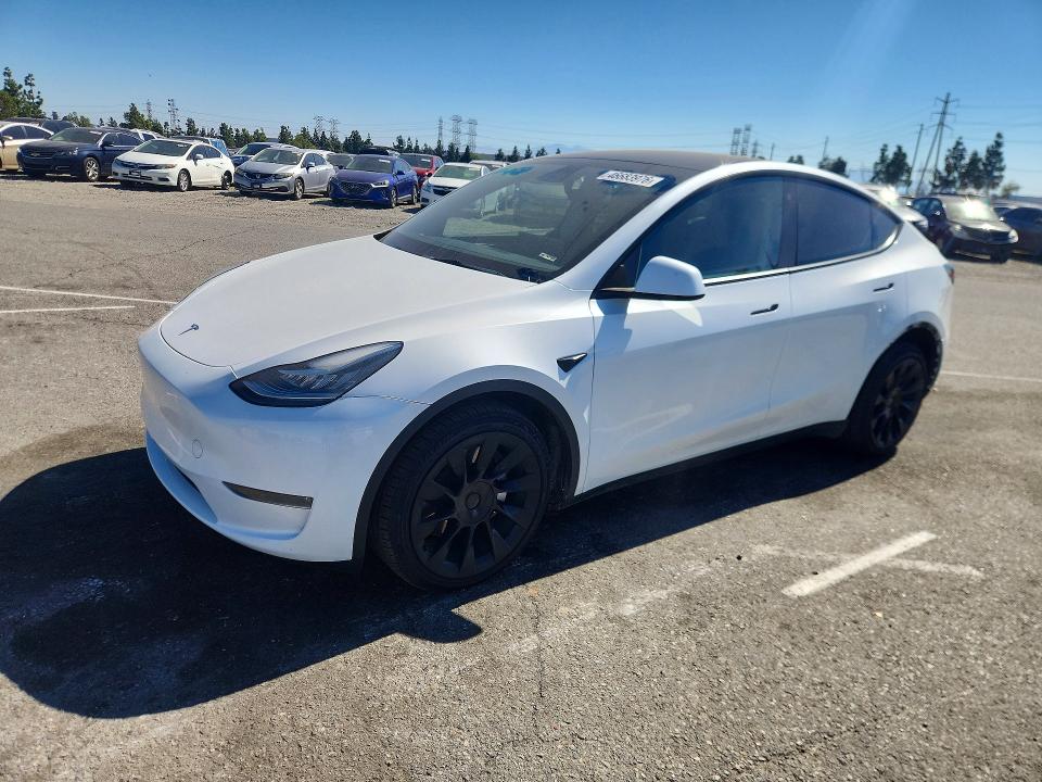 2023 TESLA MODEL Y — VIN 7SAYGDEE6PA070706