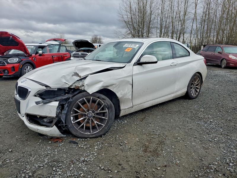 2015 BMW 228 — VIN WBA1F5C57FV256765
