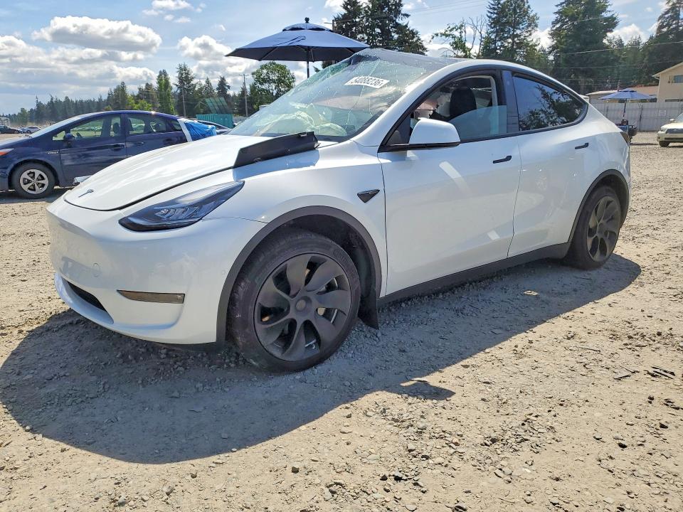 2023 TESLA MODEL Y — VIN 7SAYGDEE5PF587028