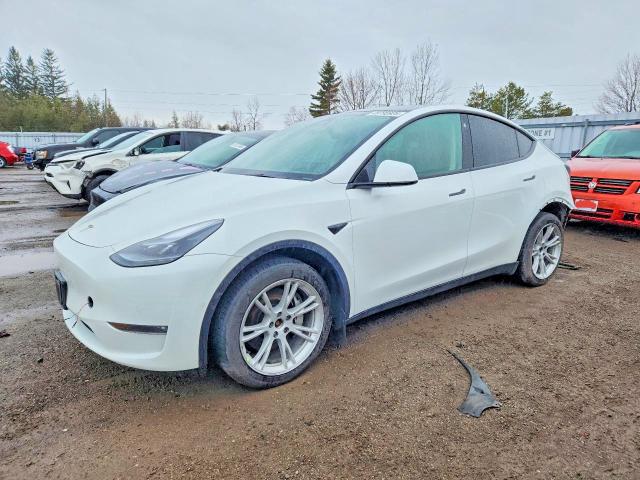 2022 TESLA MODEL Y — VIN 7SAYGDEE0NF542267
