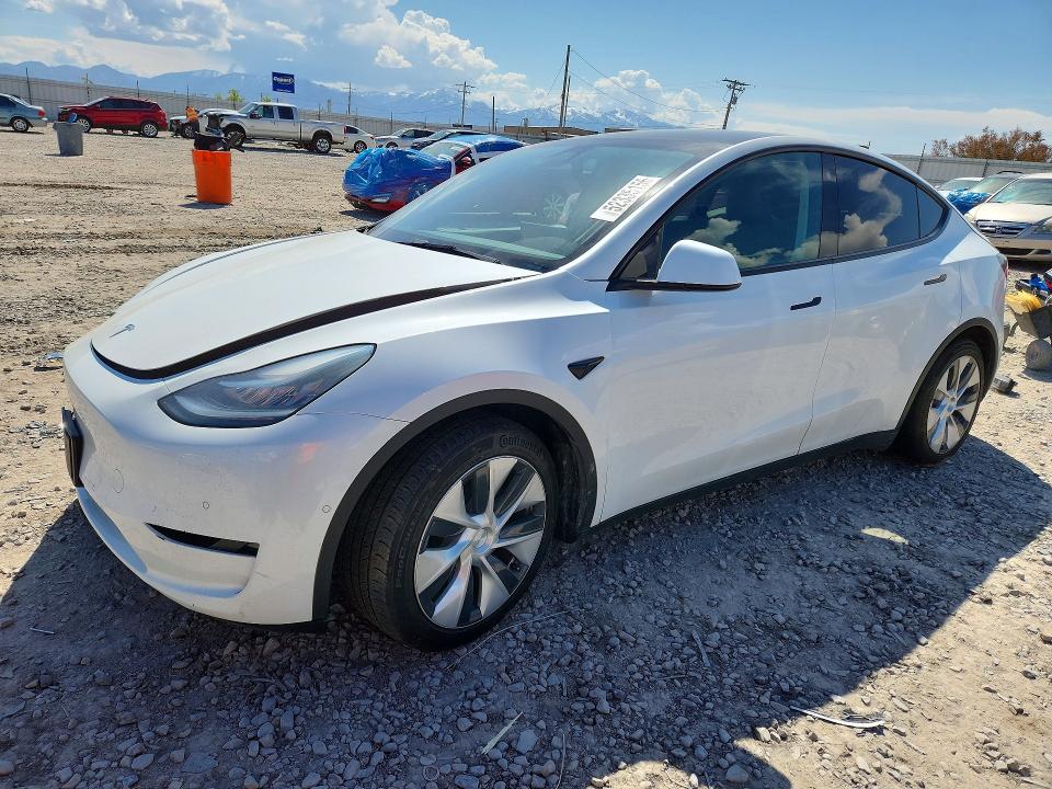 2021 TESLA MODEL Y — VIN 5YJYGDEE3MF200775