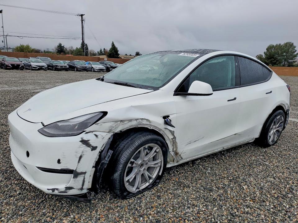 2023 TESLA MODEL Y — VIN 7SAYGDEE2PA185724
