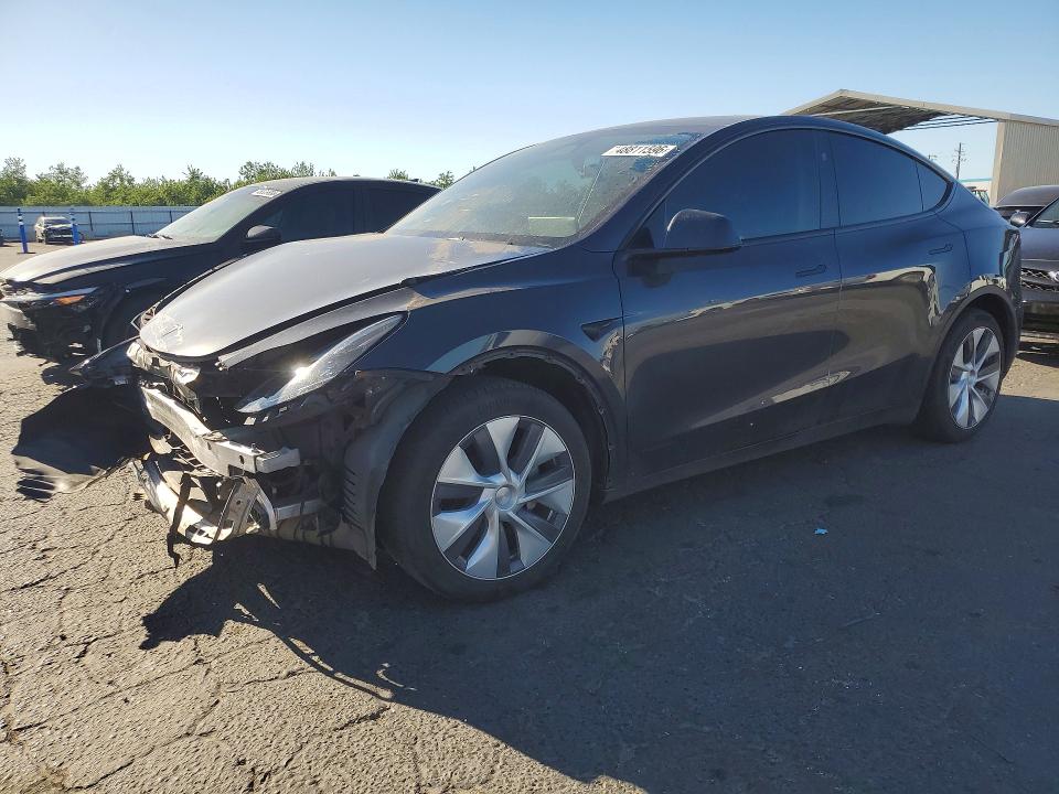 2024 TESLA MODEL Y — VIN 7SAYGDED9RF073242