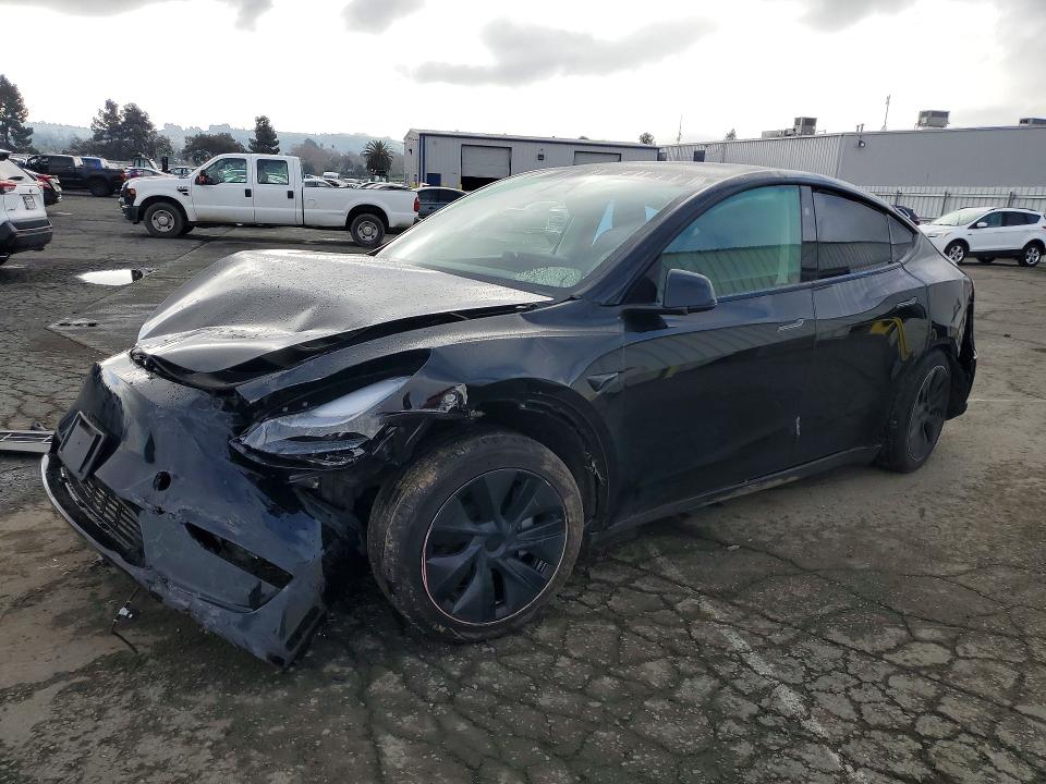 2024 TESLA MODEL Y — VIN 7SAYGAEE2RF121459