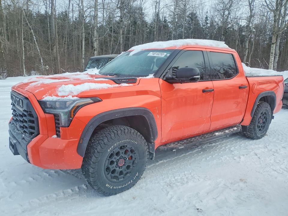 2023 TOYOTA TUNDRA — VIN 5TFPC5DB1PX018717