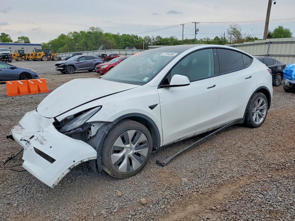 2021 TESLA MODEL Y — VIN 5YJYGDEE8MF231407