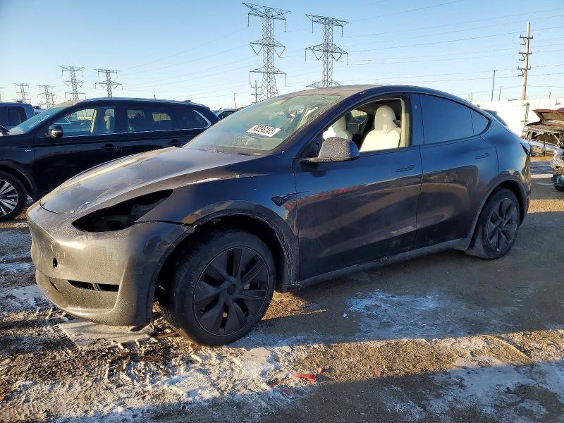 2024 TESLA MODEL Y — VIN 7SAYGDEE4RF116491