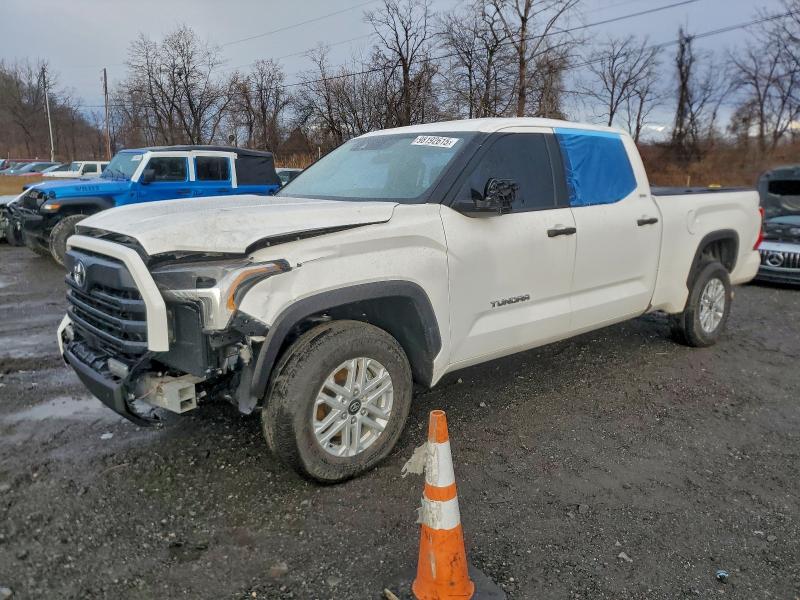 2025 TOYOTA TUNDRA CRE — VIN 5TFLA5EC5SX043799