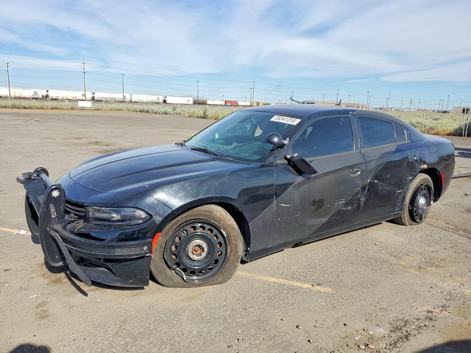 2020 DODGE CHARGER — VIN 2C3CDXKT1LH189442