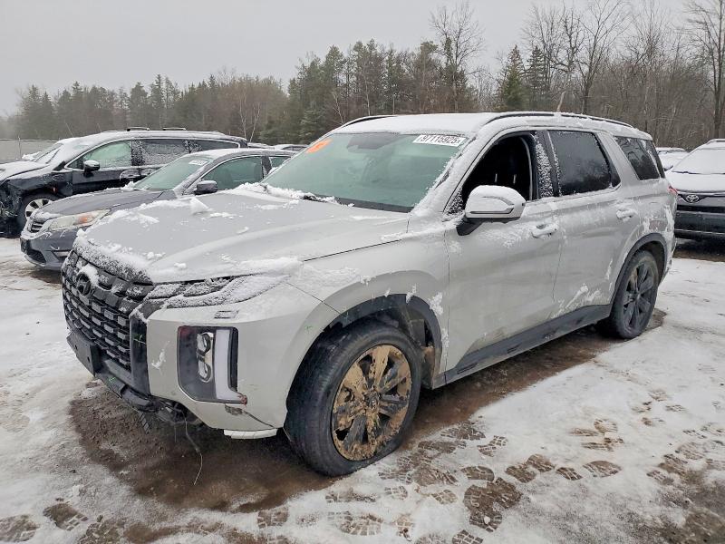 2024 HYUNDAI PALISADE — VIN KM8R3DGE5RU738384