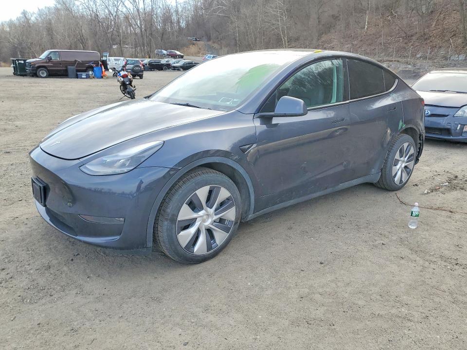 2024 TESLA MODEL Y — VIN 7SAYGDEE2RA277175