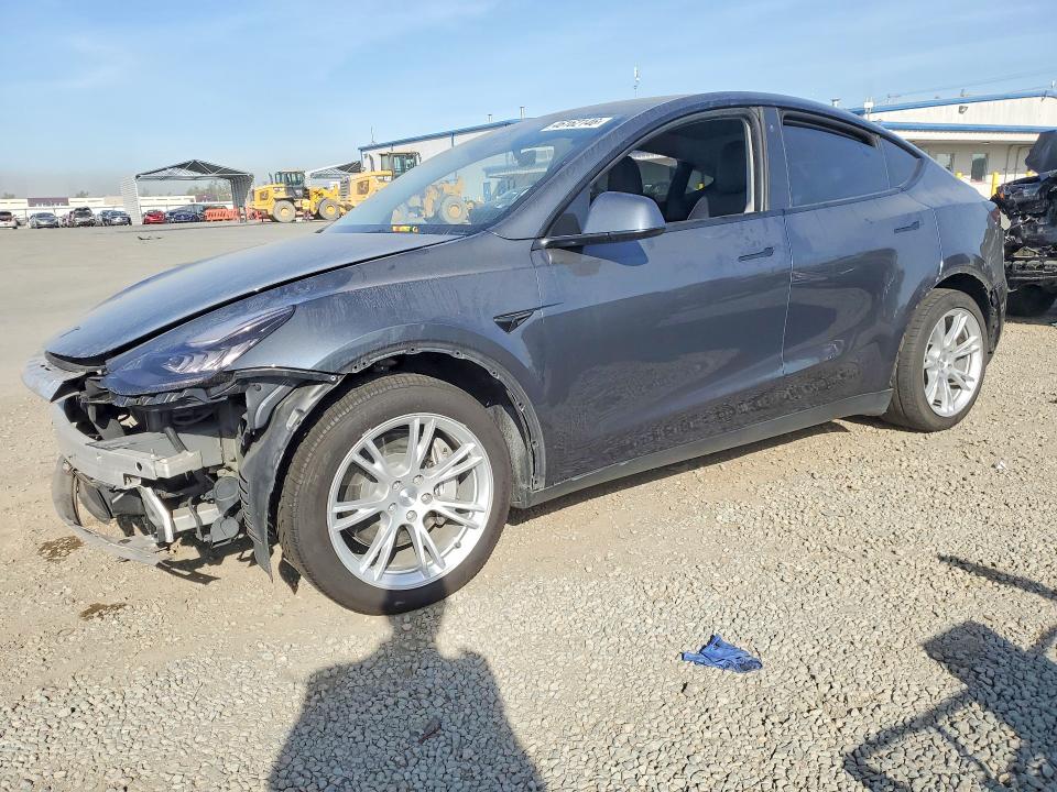 2023 TESLA MODEL Y — VIN 7SAYGDEE2PA033197