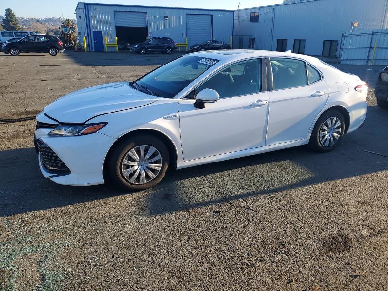 2019 TOYOTA CAMRY LE — VIN 4T1B31HK8KU509840