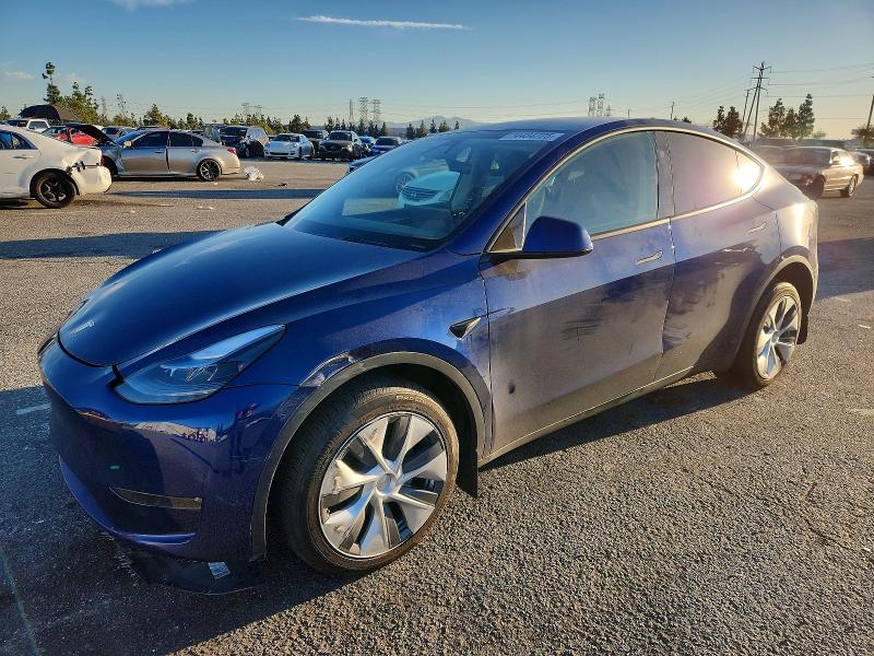 2024 TESLA MODEL Y — VIN 7SAYGDEE8RF085813