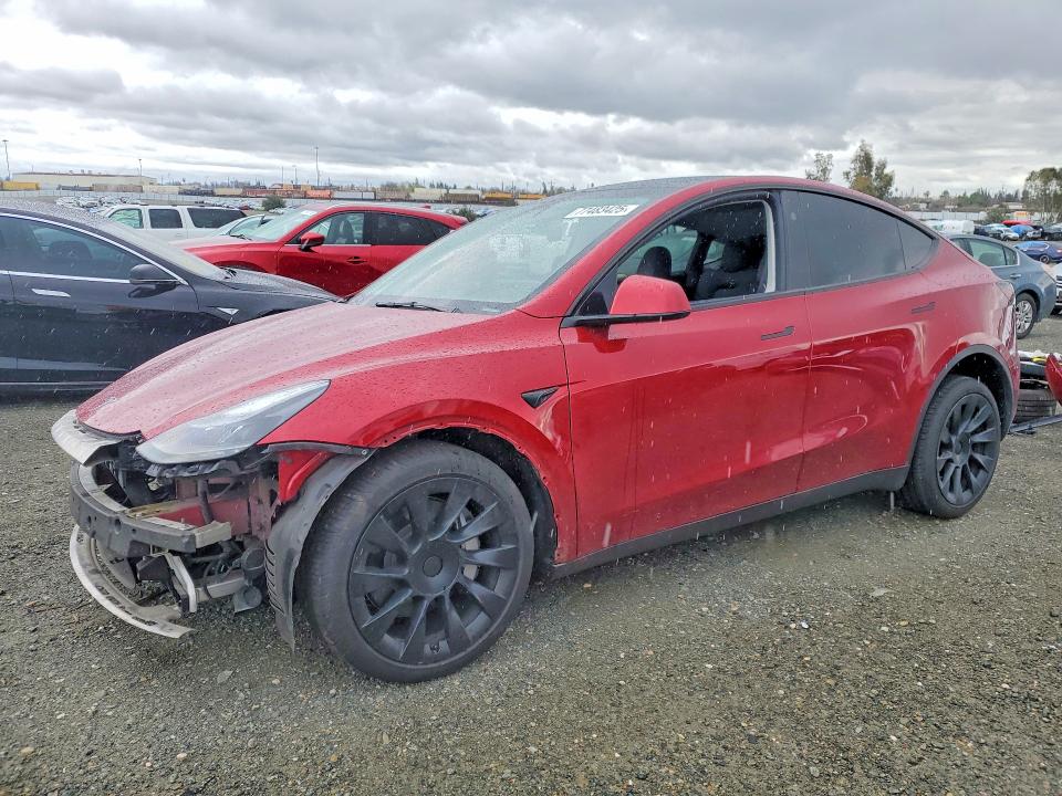 2024 TESLA MODEL Y — VIN 7SAYGDEE9RF071337