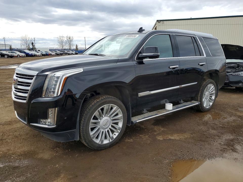 2017 CADILLAC ESCALADE — VIN 1GYS4DKJ1HR361250