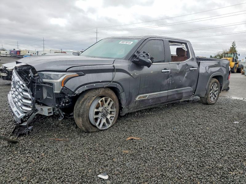 2025 TOYOTA TUNDRA — VIN 5TFMA5EC3SX042378