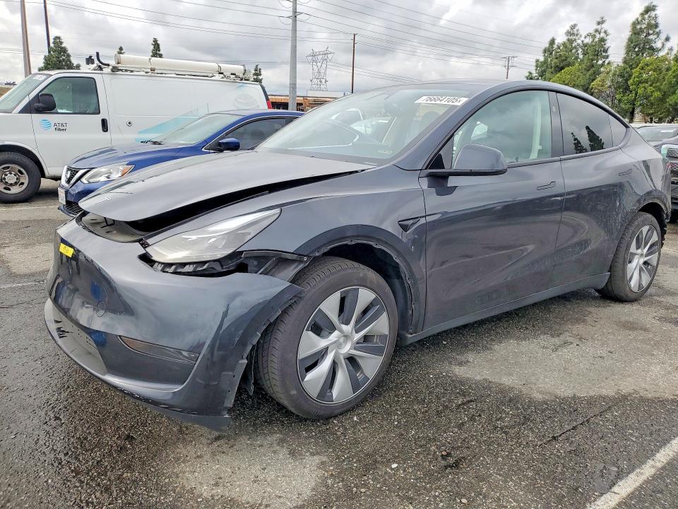 2024 TESLA MODEL Y — VIN 7SAYGDED8RF051300