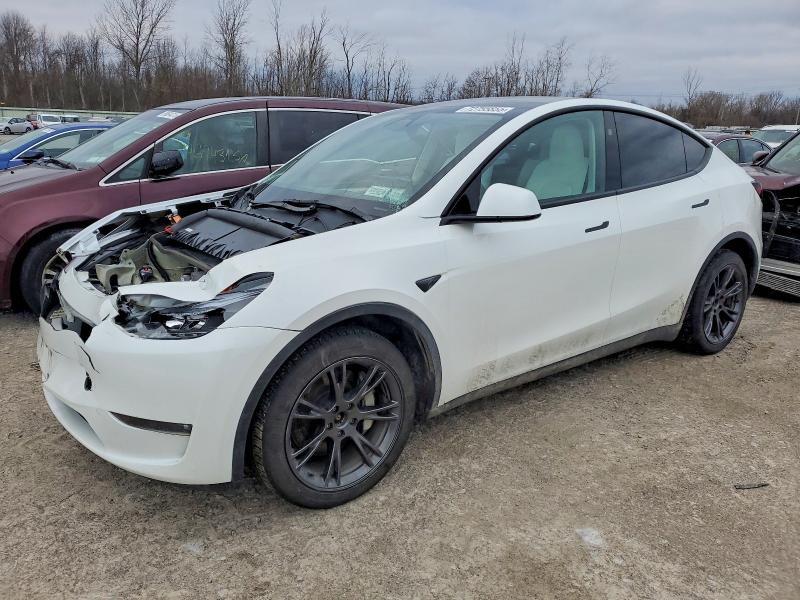 2024 TESLA MODEL Y — VIN 7SAYGAEE4RF166130