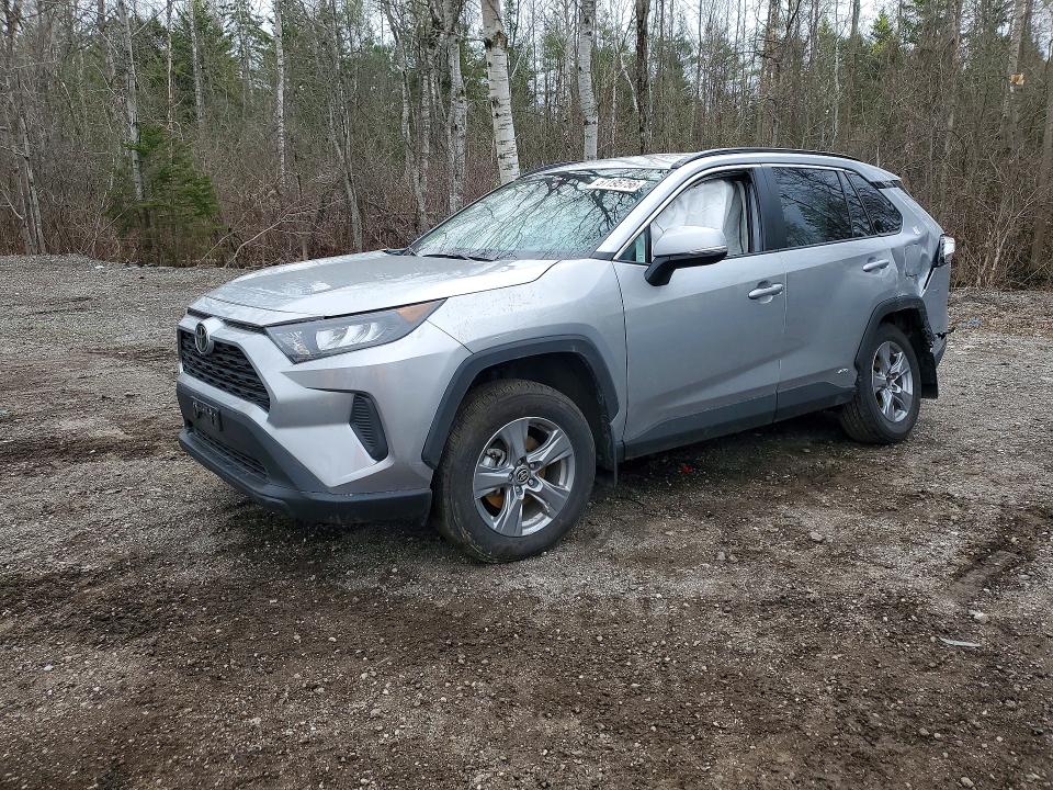 2025 TOYOTA RAV4 — VIN 2T3BWRFV7SW291528