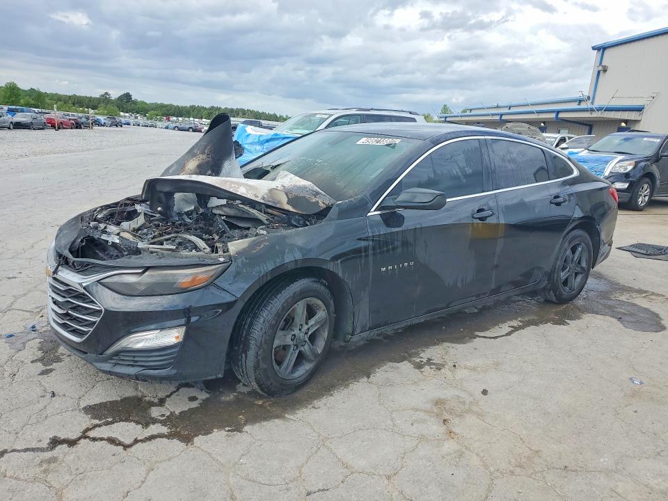 2019 CHEVROLET MALIBU — VIN 1G1ZB5ST4KF147873