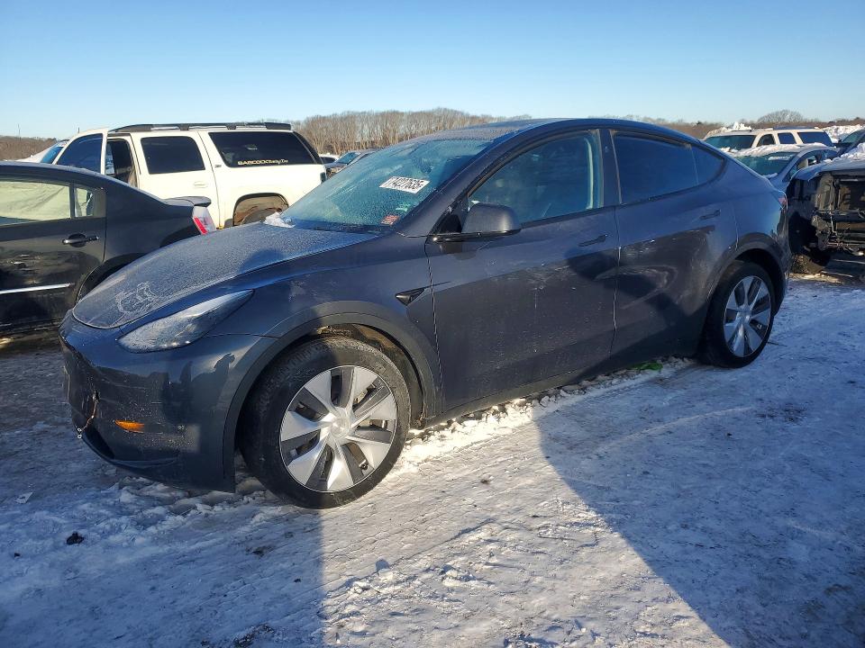 2023 TESLA MODEL Y — VIN 7SAYGDEEXPA175832