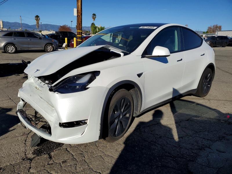 2024 TESLA MODEL Y — VIN 7SAYGAEE4RF184482