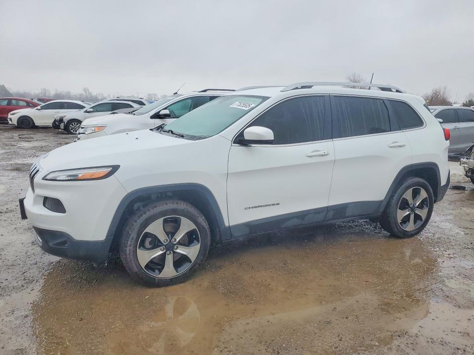 2017 JEEP CHEROKEE — VIN 1C4PJLDS5HW598345
