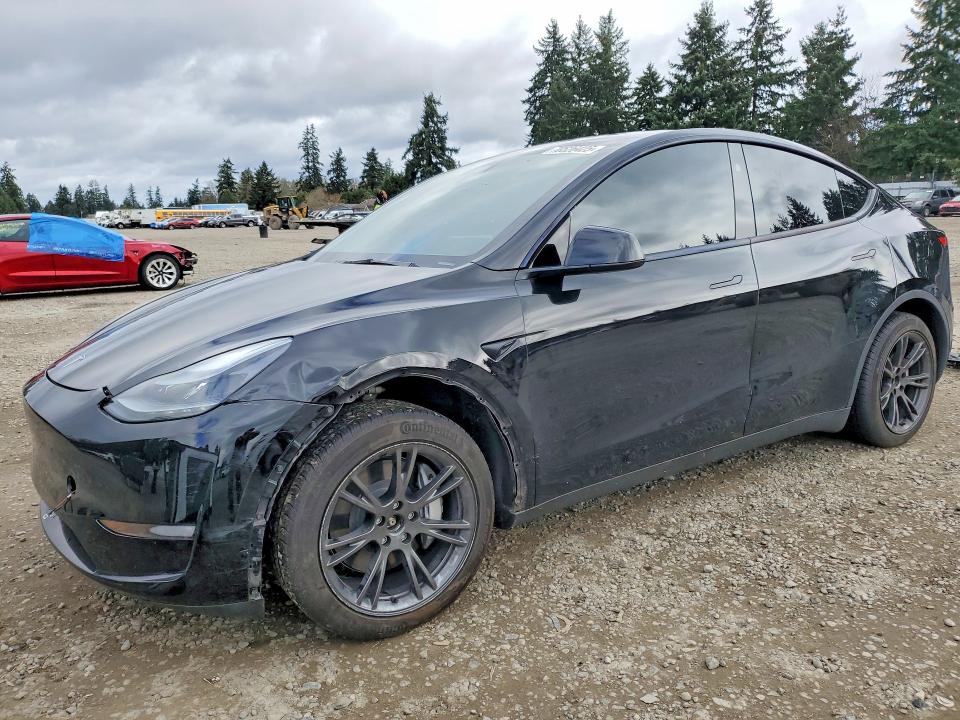2025 TESLA MODEL Y — VIN 7SAYGDEE3SF250754