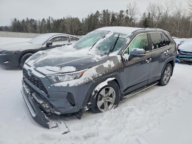 2024 TOYOTA RAV4 — VIN 2T3BWRFV1RW229679